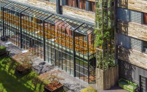 محوطه هتل محوطه هتل