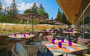 رستوران رستوران