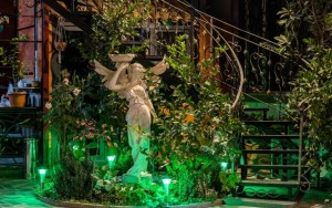 محوطه هتل محوطه هتل