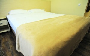 hotels-georgia-tbilisi-Tbilotel-Hotel-اتاق۷-bb880fb51c6b9371b902060267e97128.jpg