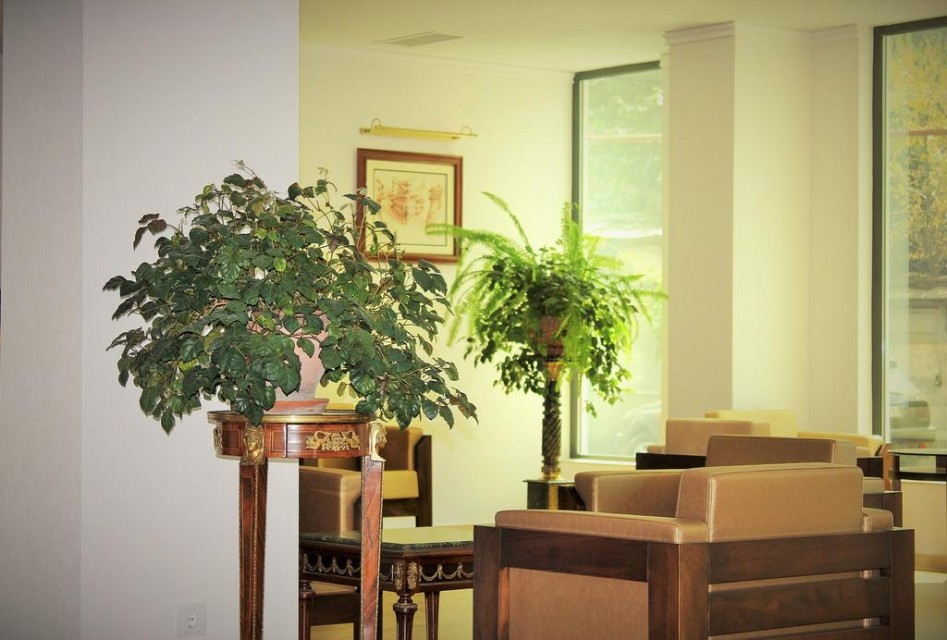 hotels-georgia-tbilisi-Tbilotel-Hotel-لالبی-26ba2c9637d85cfabc7a35aea816c669.jpg