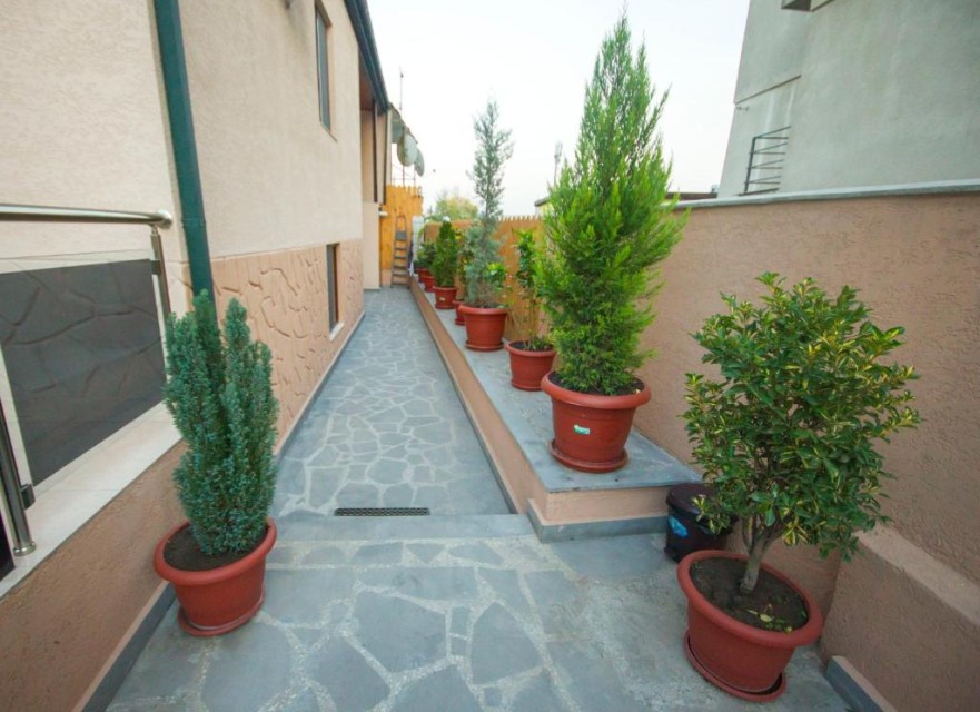 ویو هتل ویو هتل