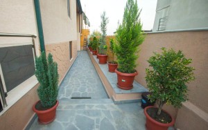 ویو هتل ویو هتل