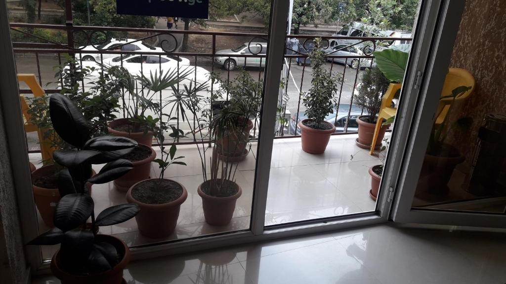 ورودی هتل ورودی هتل