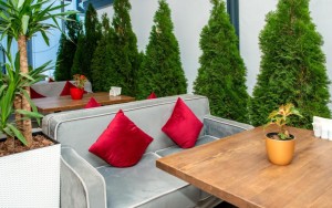 رستوران رستوران