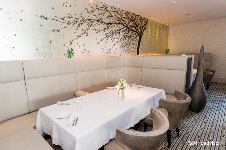 رستوران رستوران