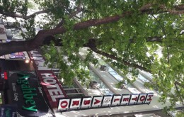 هتل Abro Necatibey آنکارا