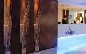 ورودی هتل ورودی هتل