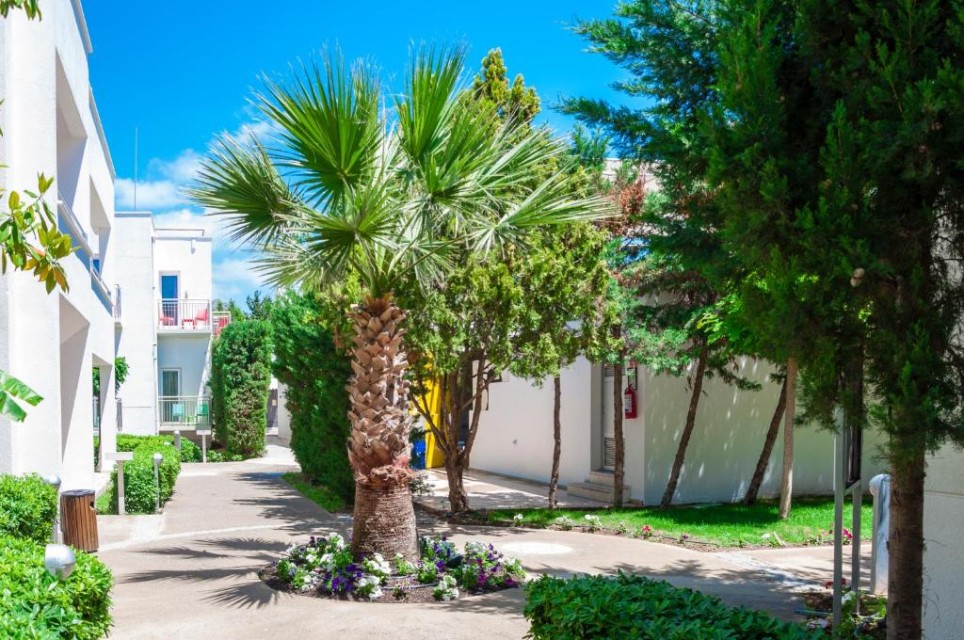 محوطه هتل محوطه هتل