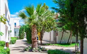 محوطه هتل محوطه هتل