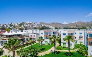 محوطه هتل محوطه هتل