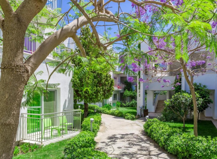 محوطه هتل محوطه هتل