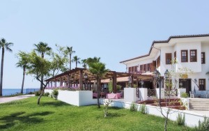 محوطه محوطه