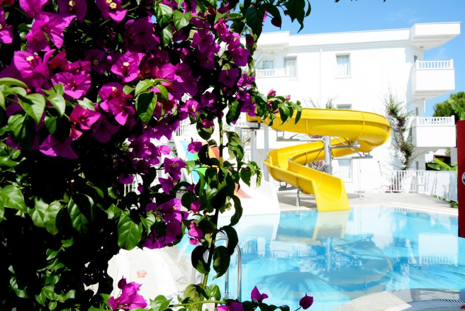 محوطه هتل محوطه هتل