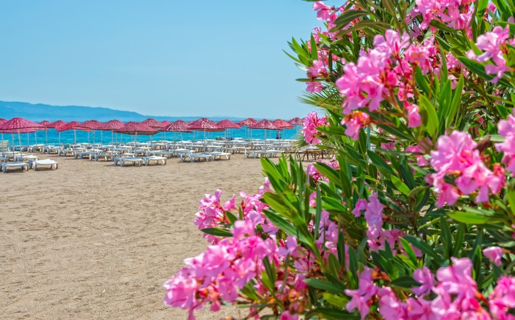 محوطه هتل محوطه هتل