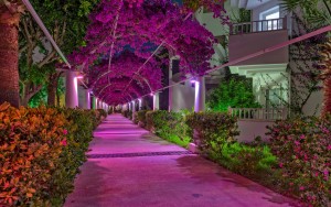 محوطه هتل محوطه هتل