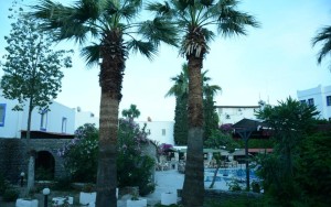 محوطه هتل محوطه هتل