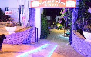 محوطه هتل محوطه هتل