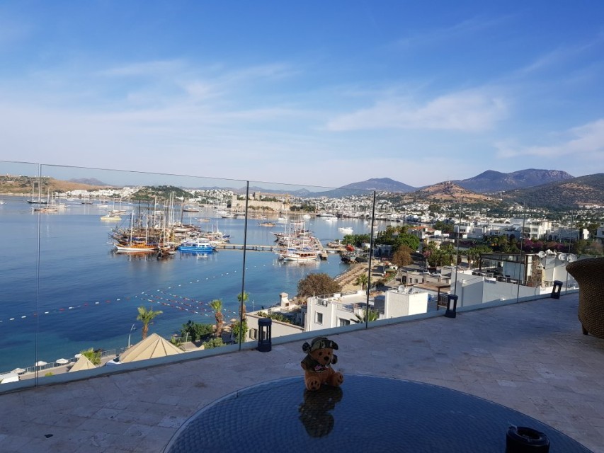 محوطه هتل محوطه هتل