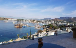 محوطه هتل محوطه هتل