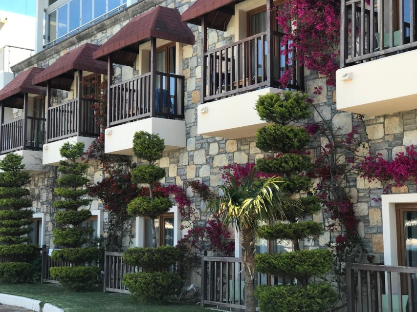 محوطه هتل محوطه هتل