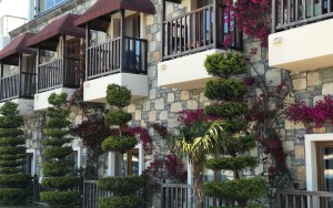 محوطه هتل محوطه هتل