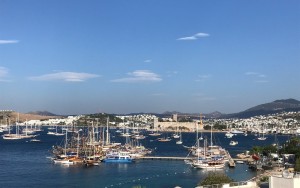 محوطه هتل محوطه هتل