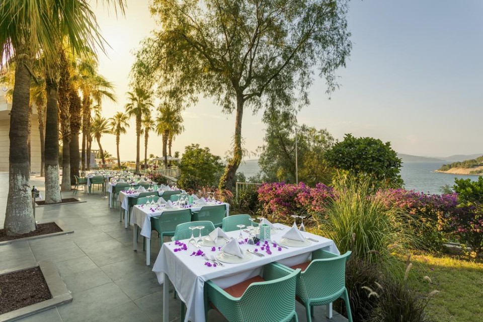 رستوران رستوران