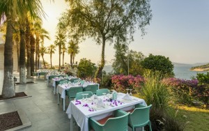 رستوران رستوران