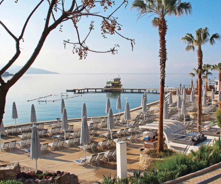 ساحل اختصاصی ساحل اختصاصی