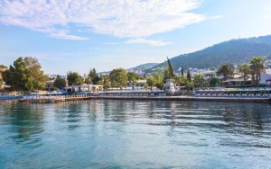 ویو هتل ویو هتل