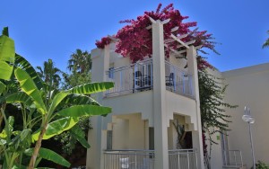 محوطه محوطه