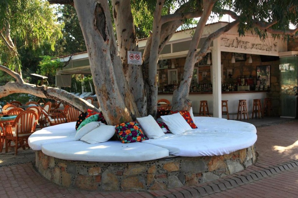 محوطه هتل محوطه هتل