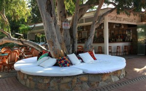 محوطه هتل محوطه هتل