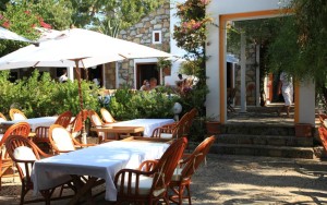 محوطه هتل محوطه هتل