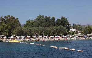 محوطه هتل محوطه هتل