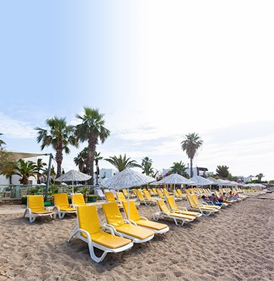 ساحل اختصاصی ساحل اختصاصی