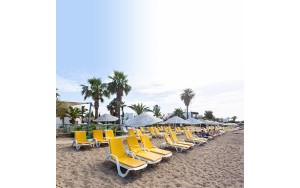 ساحل اختصاصی ساحل اختصاصی