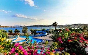 محوطه هتل محوطه هتل