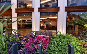 محوطه هتل محوطه هتل