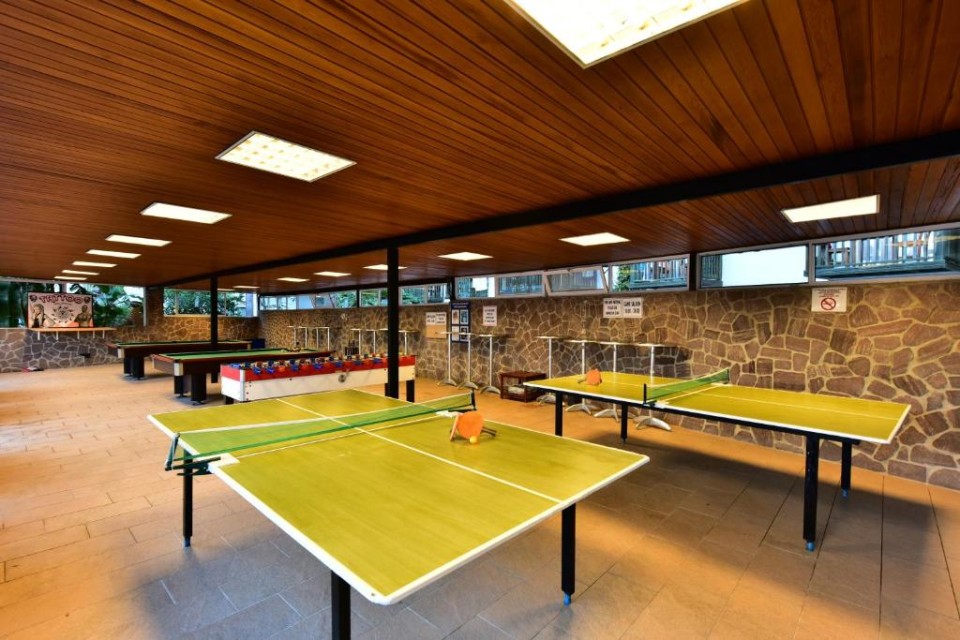 میز تنیس میز تنیس