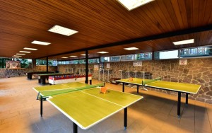 میز تنیس میز تنیس