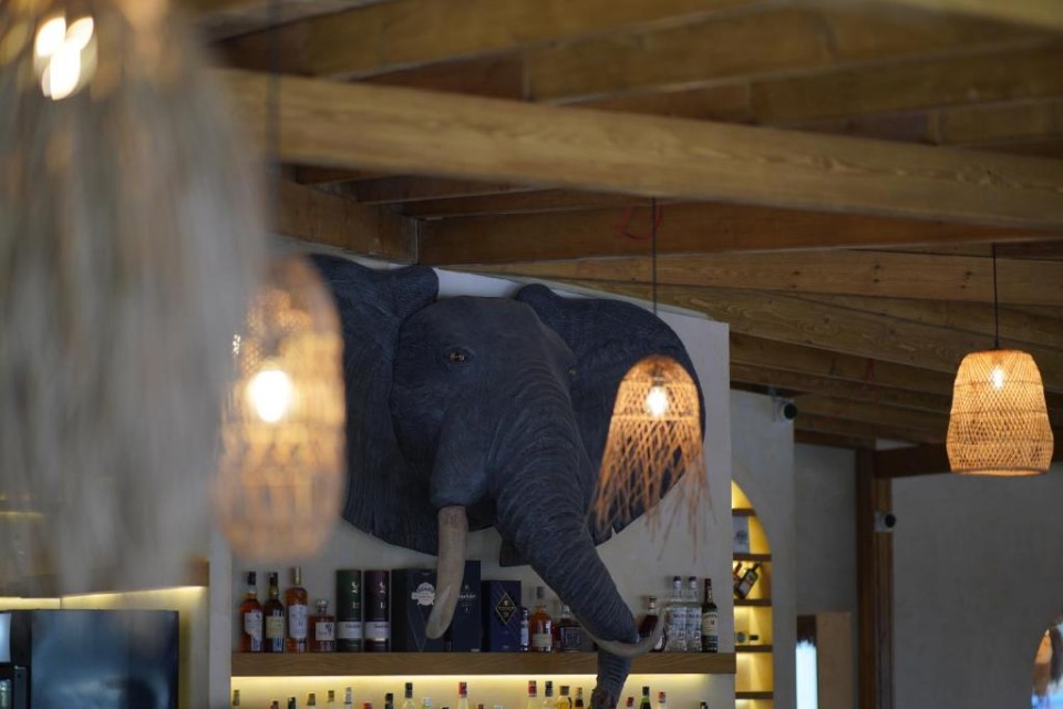 رستوران رستوران