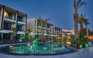 محوطه هتل محوطه هتل