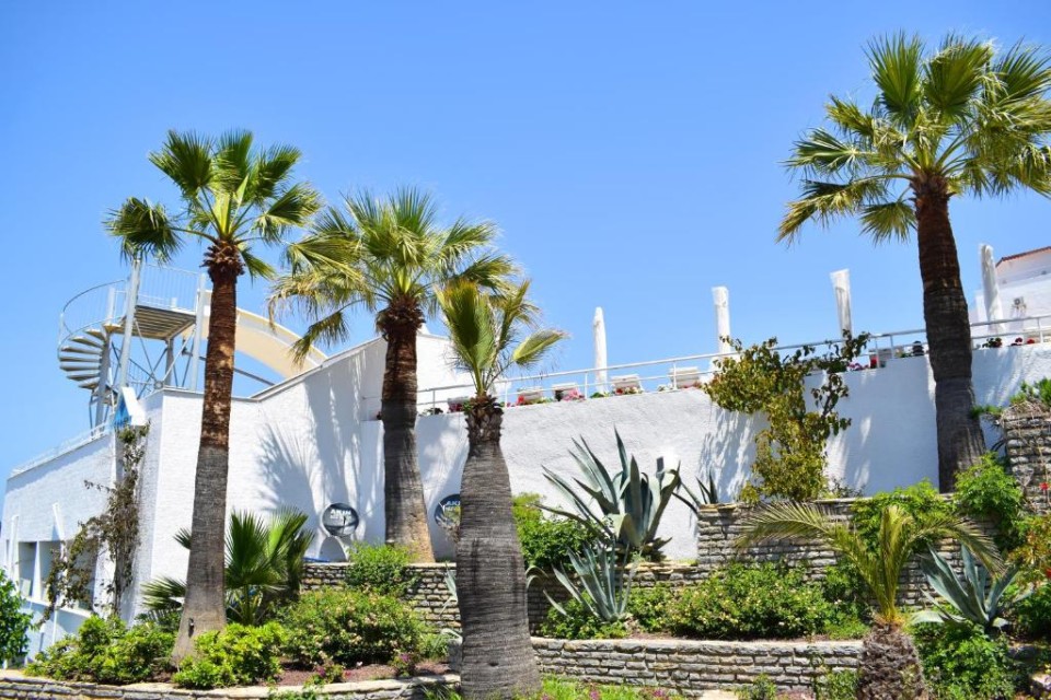 محوطه هتل محوطه هتل