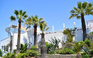 محوطه هتل محوطه هتل