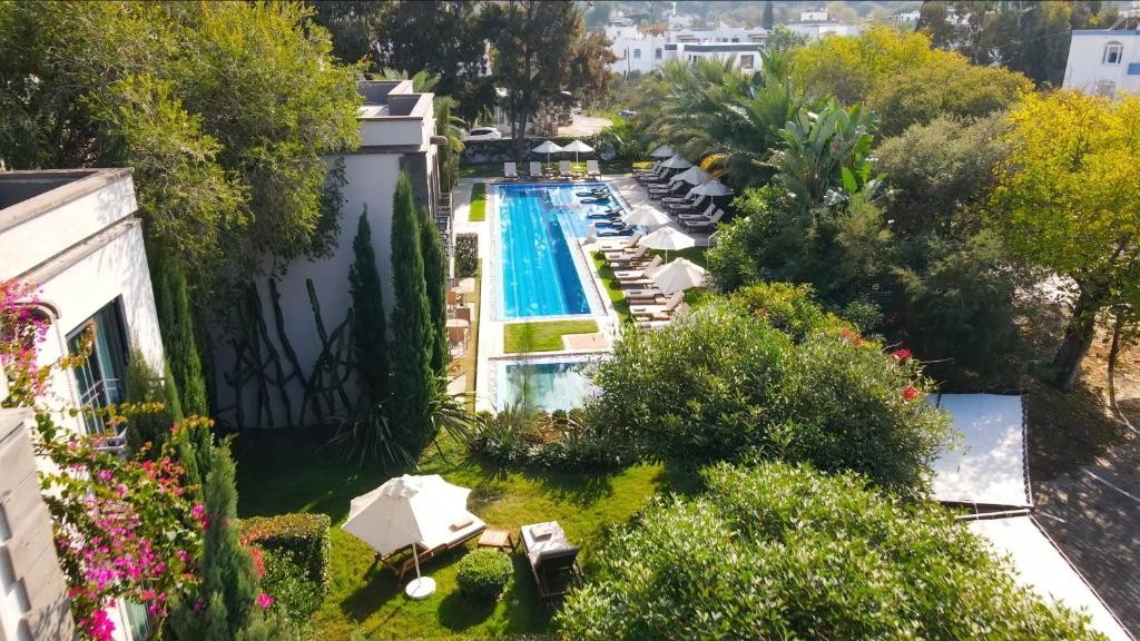 محوطه هتل محوطه هتل