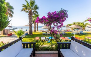 محوطه هتل محوطه هتل