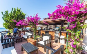 رستوران رستوران