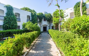 محوطه هتل محوطه هتل